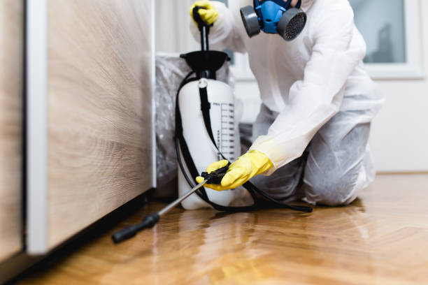 Best Best Pest Control Companies  in Churchill, MT