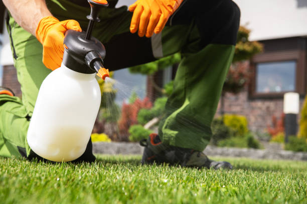 Best Pest Inspection Near Me  in Churchill, MT