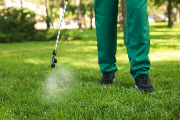 Best Commercial Pest Control Services  in Churchill, MT
