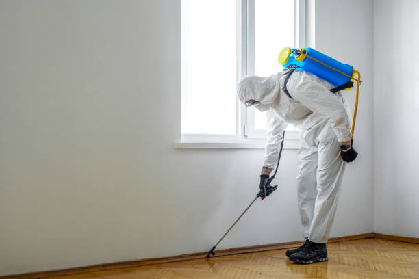 Best Pest Prevention Services  in Churchill, MT