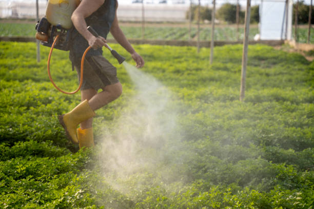 Reliable Churchill, MT Pest Control Solutions