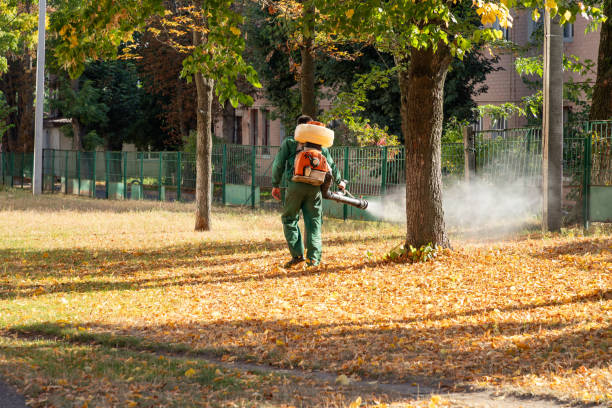 Best Best Pest Control Companies  in Churchill, MT