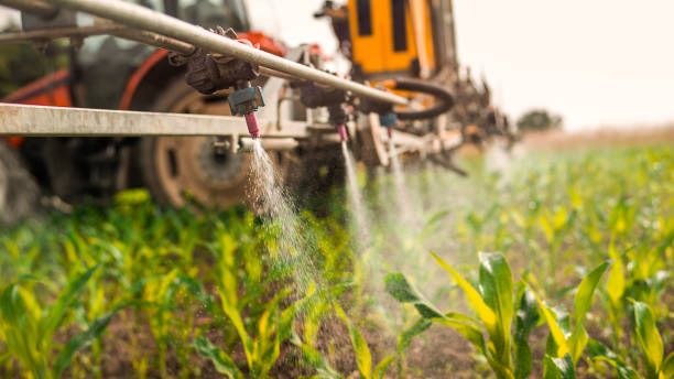 Best Pest Removal Services  in Churchill, MT